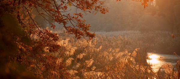 G'schichten aus dem Wiener Prater G'schichten aus dem Wiener Prater