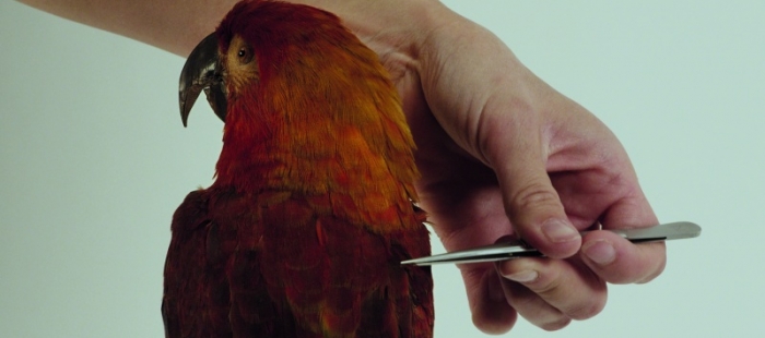 Archiv der Zukunft Archiv der Zukunft