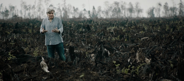 The Green Lie The Green Lie