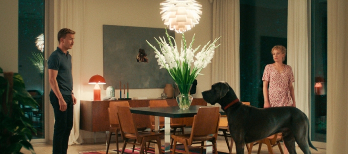 Pfau - bin ich echt? Pfau - bin ich echt?