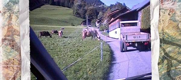 Reiseckers Reisen (2. Staffel) Reiseckers Reisen (2. Staffel)