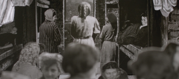 Liebe war es nie Liebe war es nie