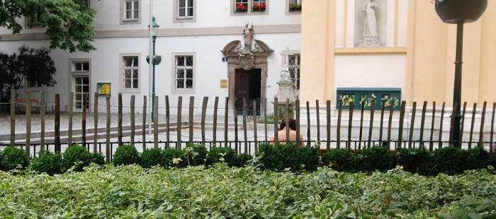 Unter dem Alsergrund. Servitengasse 1938 Unter dem Alsergrund. Servitengasse 1938