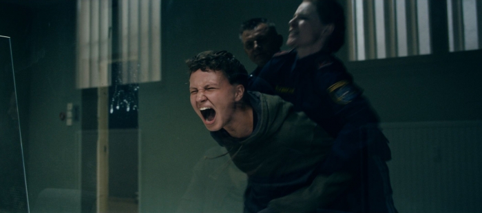 Fuchs im Bau Fuchs im Bau