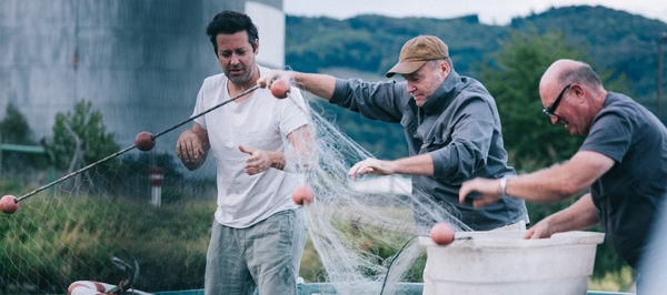 Fisch ahoi! - Das Meer braucht eine Pause Fisch ahoi! - Das Meer braucht eine Pause