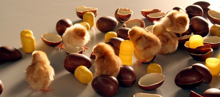 Food Design Food Design