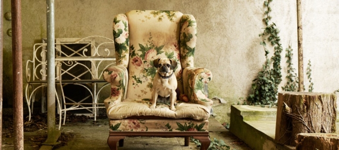 The Bloom of Yesterday The Bloom of Yesterday