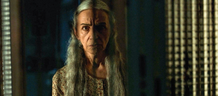 The Witness The Witness