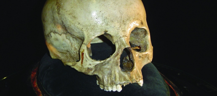 Mozart. Looking for Traces Mozart. Looking for Traces