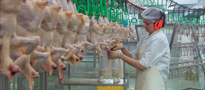 Our Daily Bread Our Daily Bread