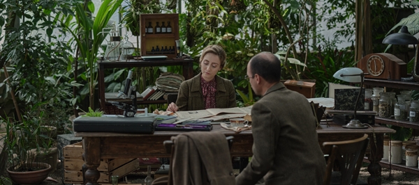 The Rothschilds The Rothschilds