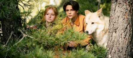 Woodwalkers 2